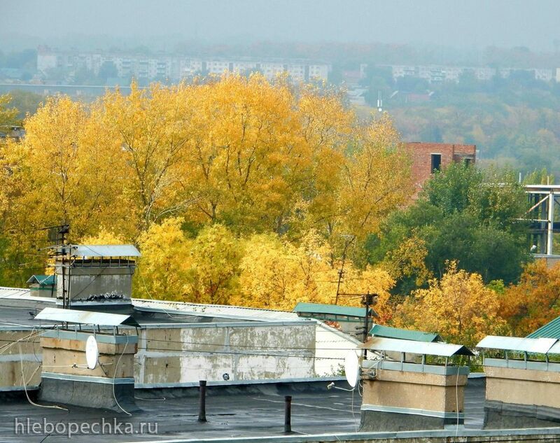 Чайная беседка