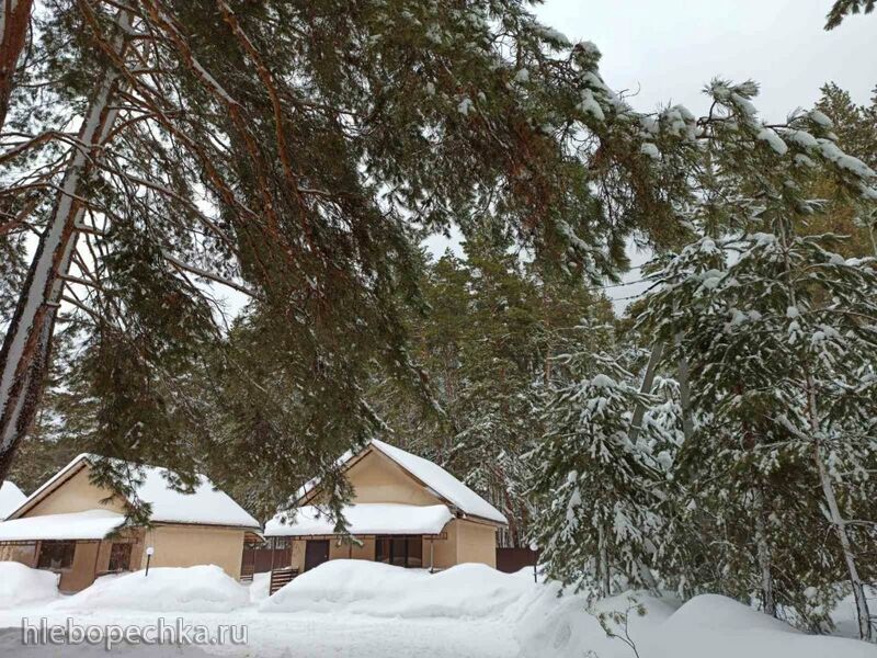 Чайная беседка