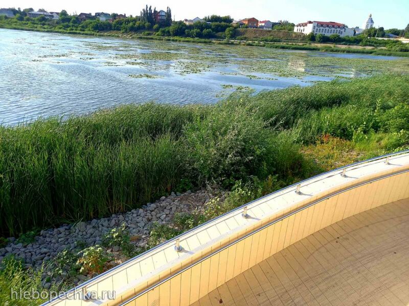 Чайная беседка