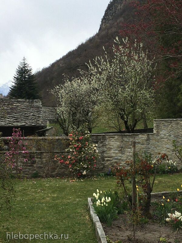 Чайная беседка