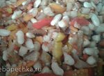 Салат с баклажанами и белой фасолью (на зиму)