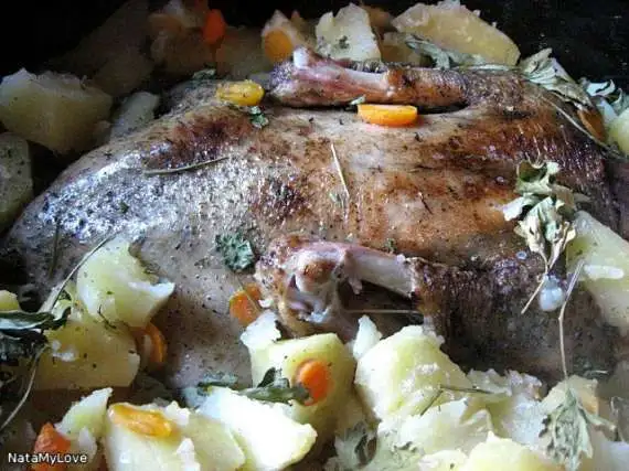 Утка, тушеная с картошкой
