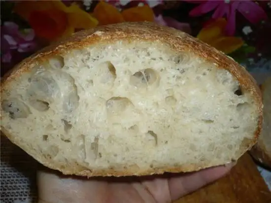 Базельский хлеб (духовка)