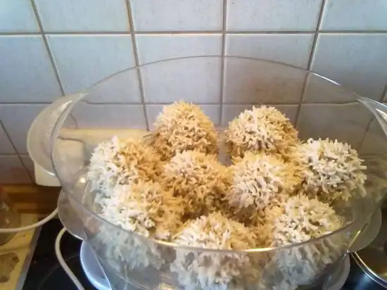 Мясные ежики