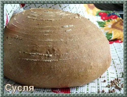 Хлеб цельнозерновой «Двадцатилетний» с кориандром