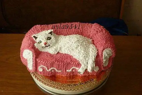 Торт «Котенок на диване Мастер-класс
