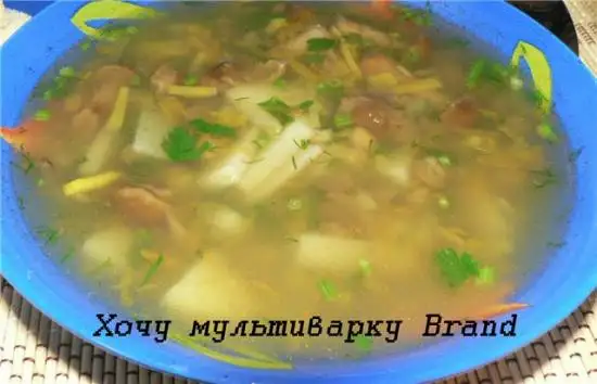 Суп с опятами и чечевицей (скороварка Brand 6050)