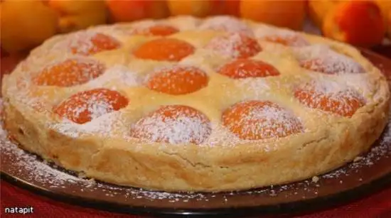 Пирог с творогом и абрикосами
