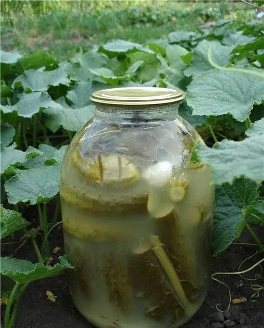 Огурцы соленые с горчицей