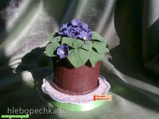 Торт «Горшок фиалок» (мастер класс)