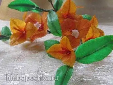 Бугенвиллия из мастики по книге Алана Данна (мастер класс)