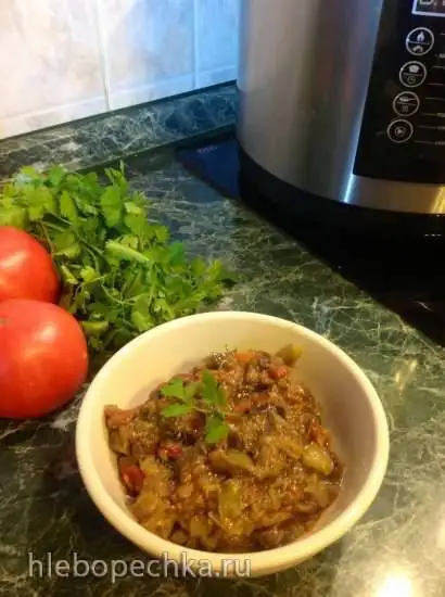 Болгарская закуска из баклажан (по мотивам Шарена лятна манджа) скороварка-коптильня Brand 6060