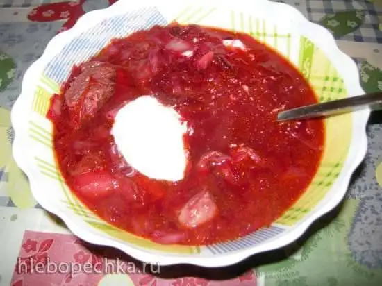 Борщ на мясном бульоне (Steba DD1)