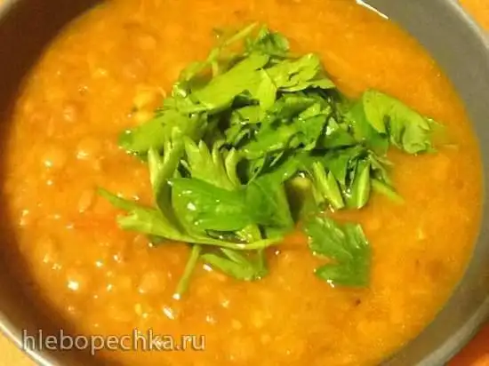 Суп чечевичный с индюшкой (скороварка Steba DD1)