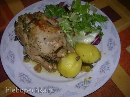 Корнишоны фаршированные яблоками (мультиварка-скороварка-медленноварка Steba DD1 ECO)