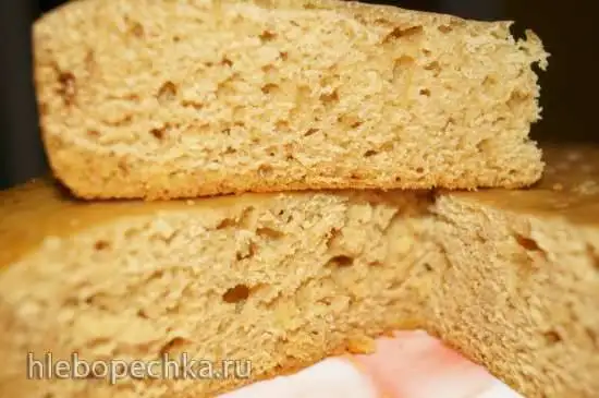 Медово-лимонный кекс (Steba DD1)