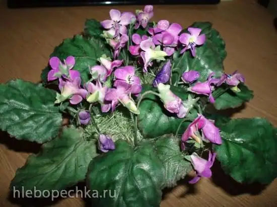 Лесные фиалки из мастики (мастер-класс)