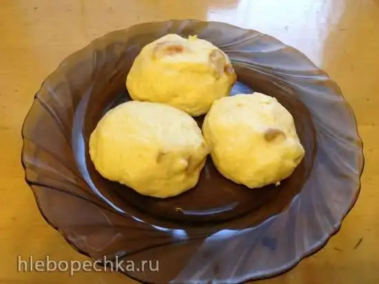 Сырники паровые в мультиварке Bork U700