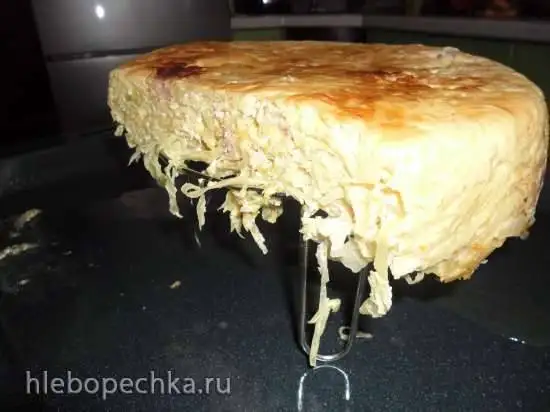 Капустная запеканка с курицей из того, что было ( Steba DD1 ECO)