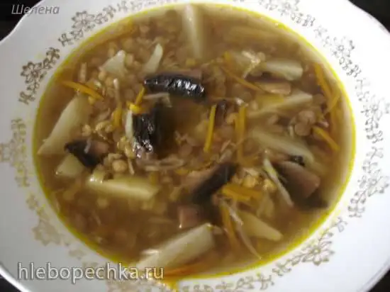 Вегетарианский суп из чечевицы с картофелем, шампиньонами, сельдереем и морковью (Polaris 0305)