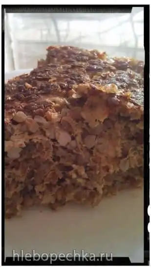 Мясной пирог в Steba DD 1