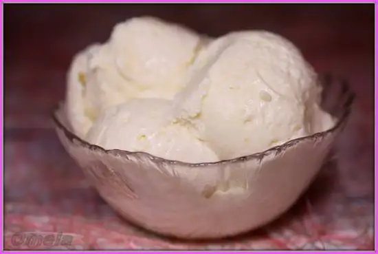 Яблочное мороженое (мороженица Brand 3812)