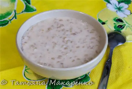 Овсяная молочная каша в скороварке Бранд 6051