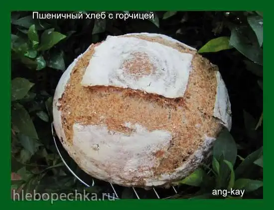 Пшеничный хлеб с горчицей (мастер -класс)