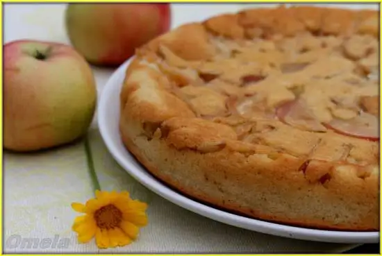 Заливной яблочный пирог (без масла и яиц)