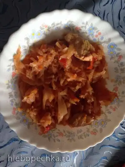 Солянка из свежей капусты в мультиварке BORK U700