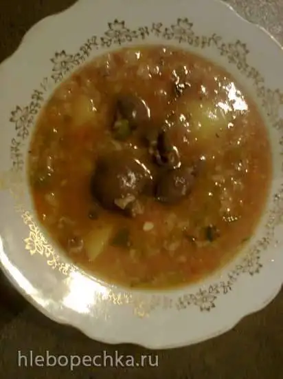 Айнтопф рисовый с почками