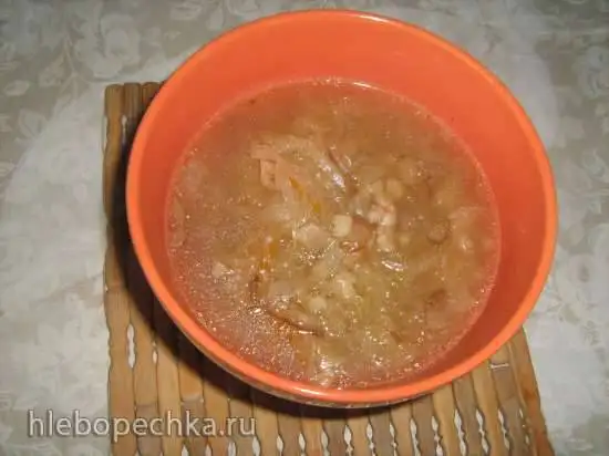 Кислые щи по-деревенски (Steba DD1, Steba DD2)