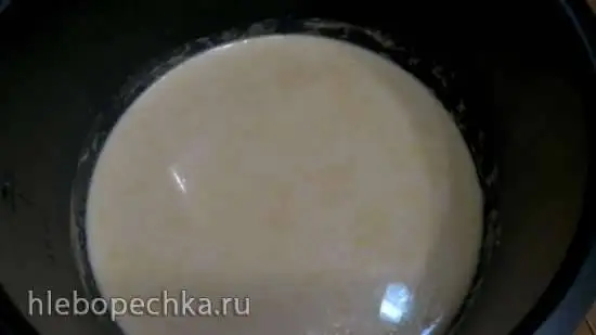 Топлёное молоко в Steba DD1