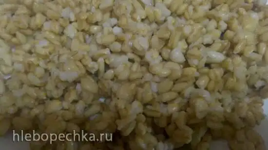 Овсяная каша на гарнир в Steba DD1