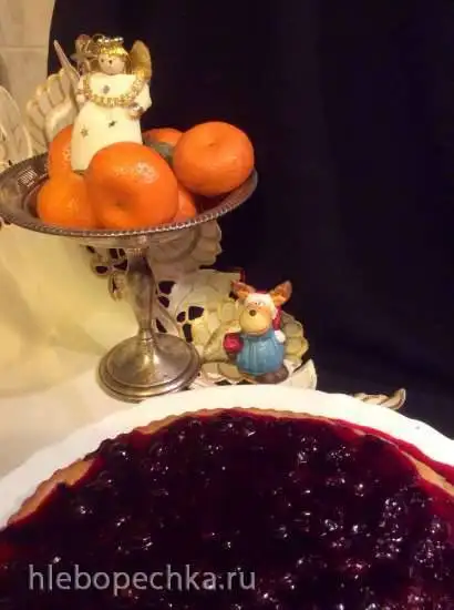 Кекс с черной смородиной из Баварии (Schwarze Johannisbeeren Kuchen) пиццепечь Принцесс