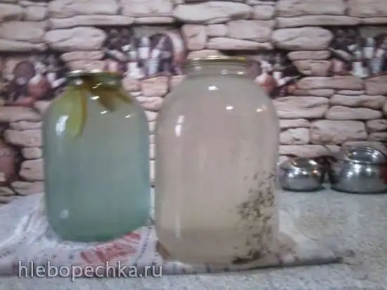 Берёзовый сок (белорусские мотивы)