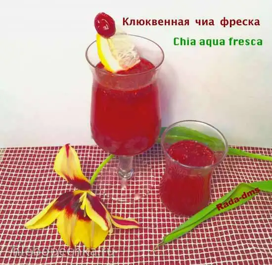 Клюквенный лимонад с семенами чиа (Chia aqua fresca)