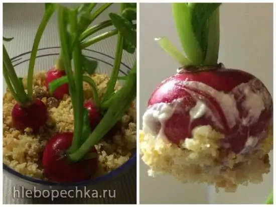 Редис с сырным кремом