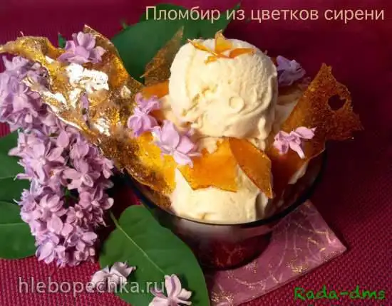 Сиреневый пломбир с леденцовой карамелью (из цветков сирени)
