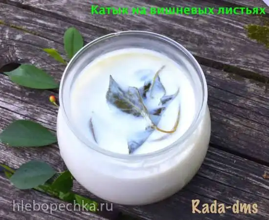 Татарский катык (технология) на вишневых веточках (и другие варианты добавок для цвета и вкуса)