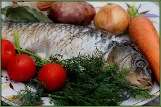 Уха из сазана