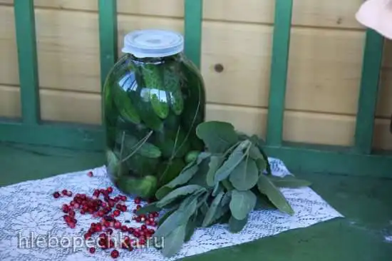 Огурцы соленые по-Шульгински