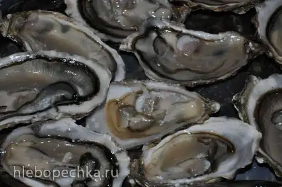Устрицы (мастер-класс)