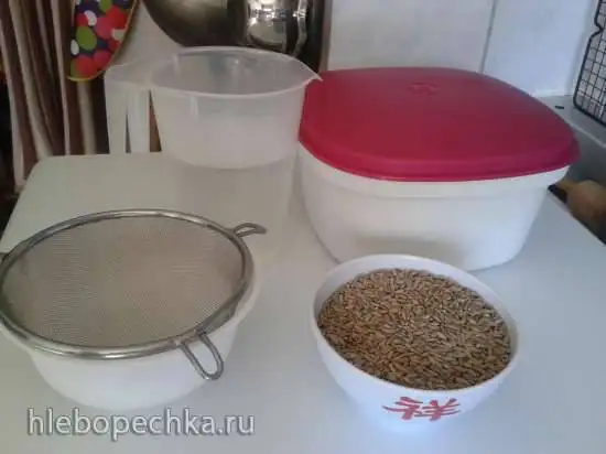 Ржаной солод (делаем сами)