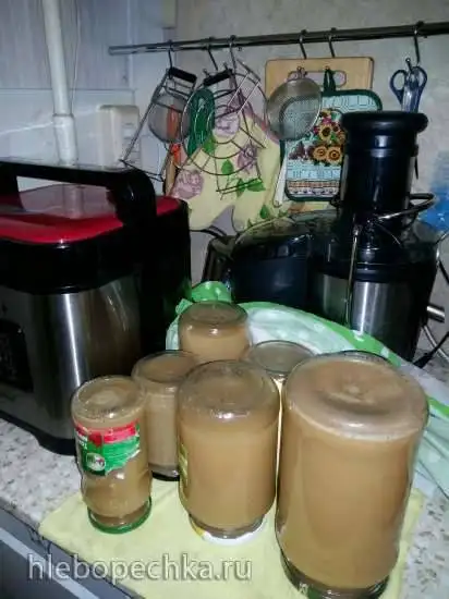 Сок яблочный в Steba dd2 xl