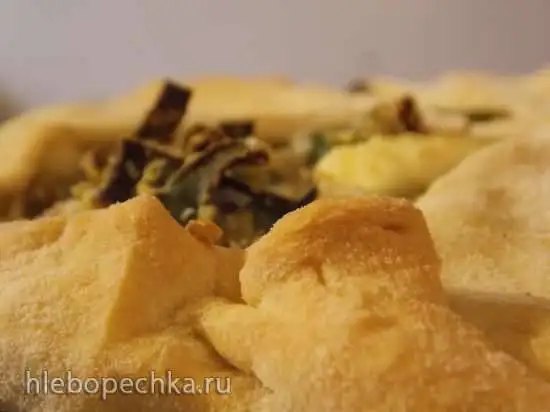 Пирог с луком-пореем, рисом и творогом