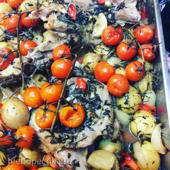 Козлятина с розмарином и овощами