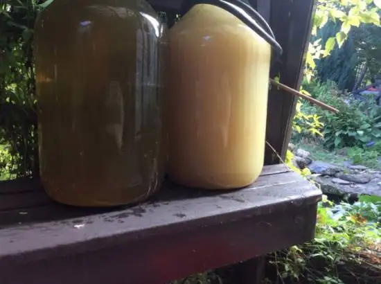 Шампанское из виноградной лозы и листьев