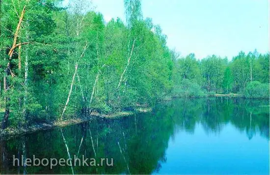 Морская уха по-московски