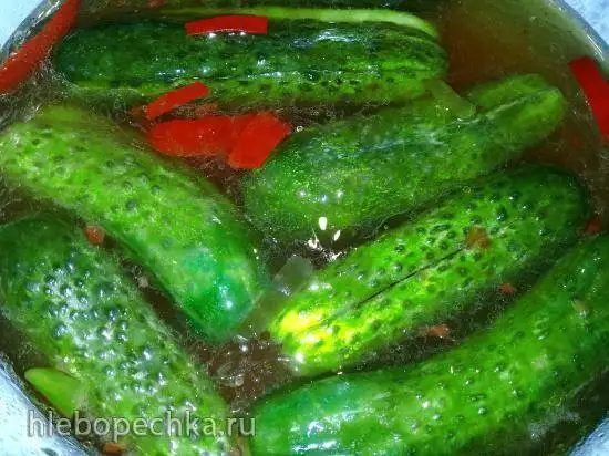 Огурцы закусочные суточные «Всегда мало»